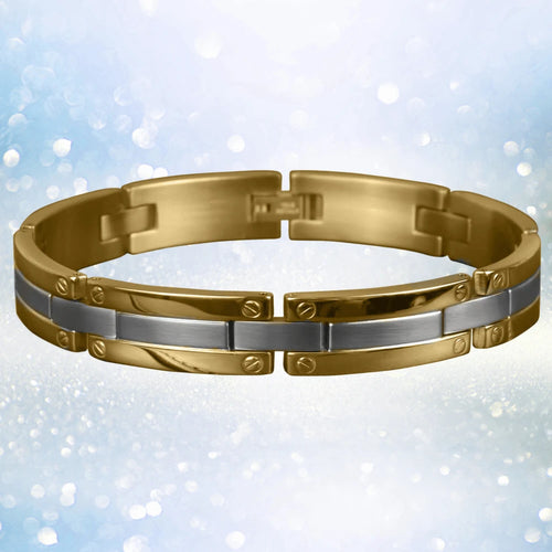 Daniel Steiger Regal Men&