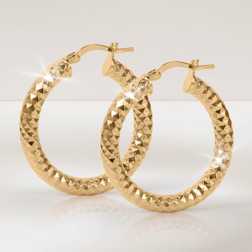 Daniel Steiger Arezzo Creole Hoop Earrings Collection