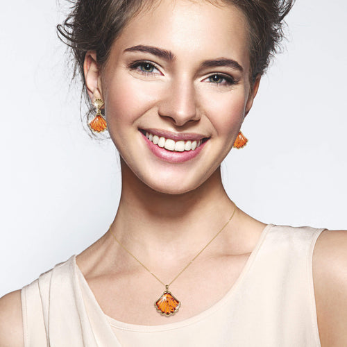 Daniel Steiger Sunset Shells Collection