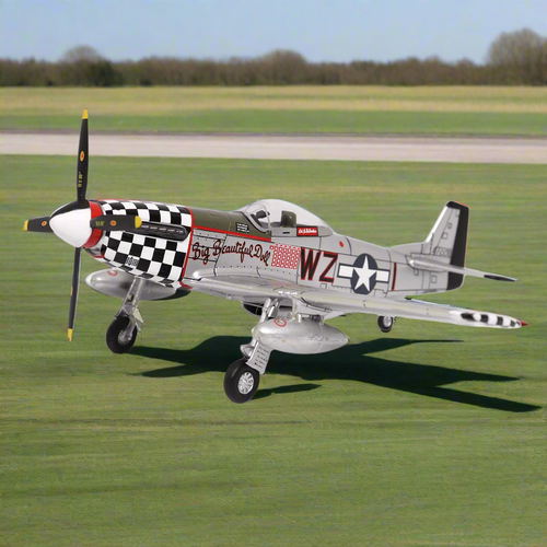 Daniel Steiger P-51D Mustang