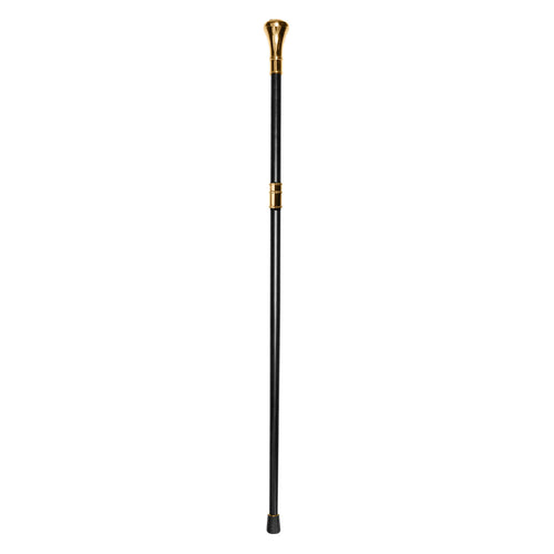 Daniel Steiger Freemason Walking Stick
