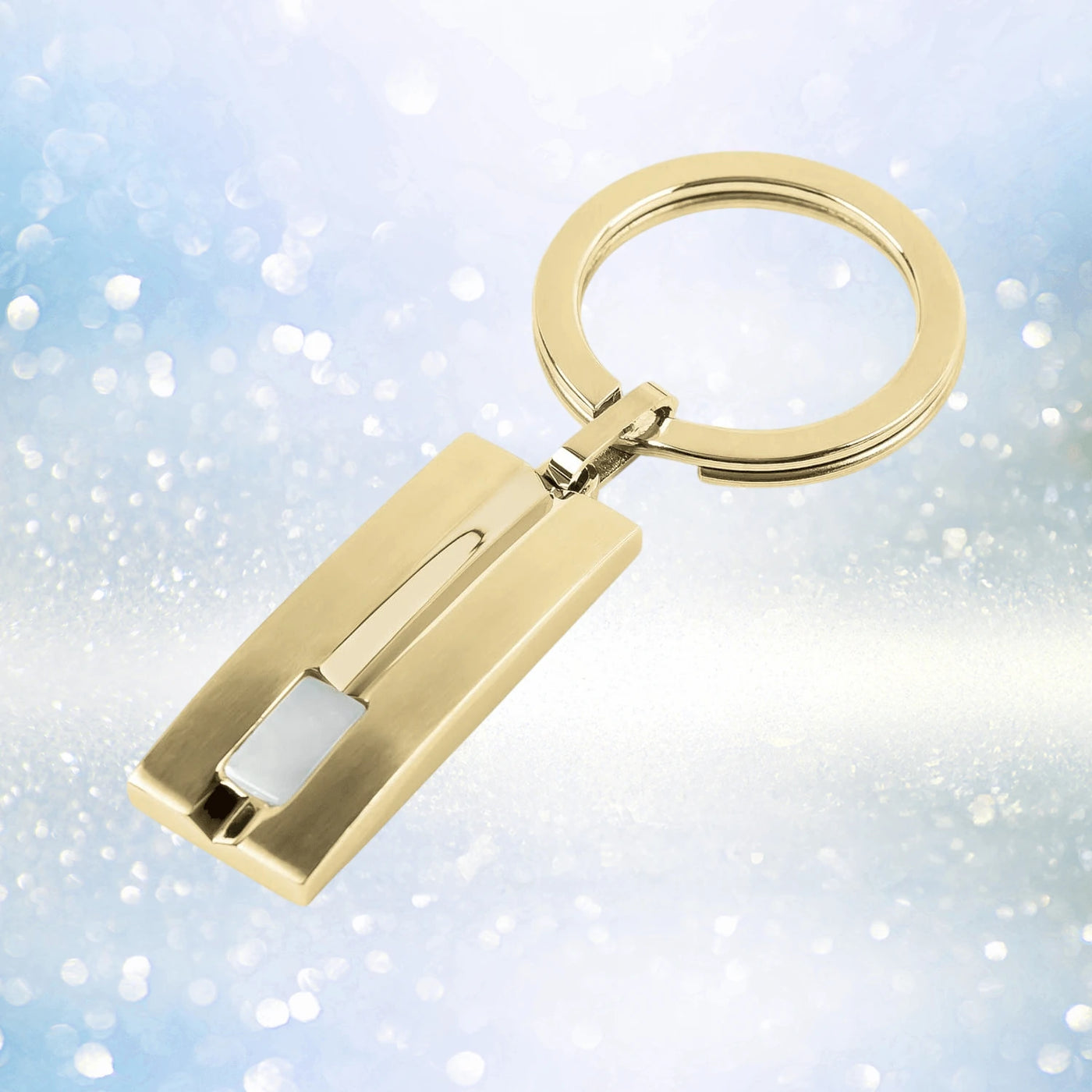 Daniel Steiger Icon Men's Keyring