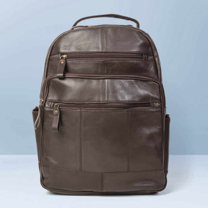 Daniel Steiger Urban Voyager Brown Men's Backpack