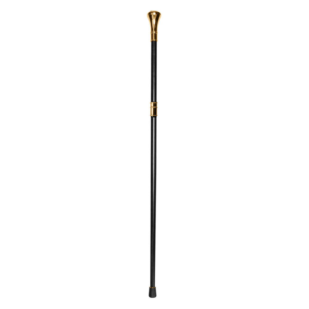 Daniel Steiger Freemason Walking Stick