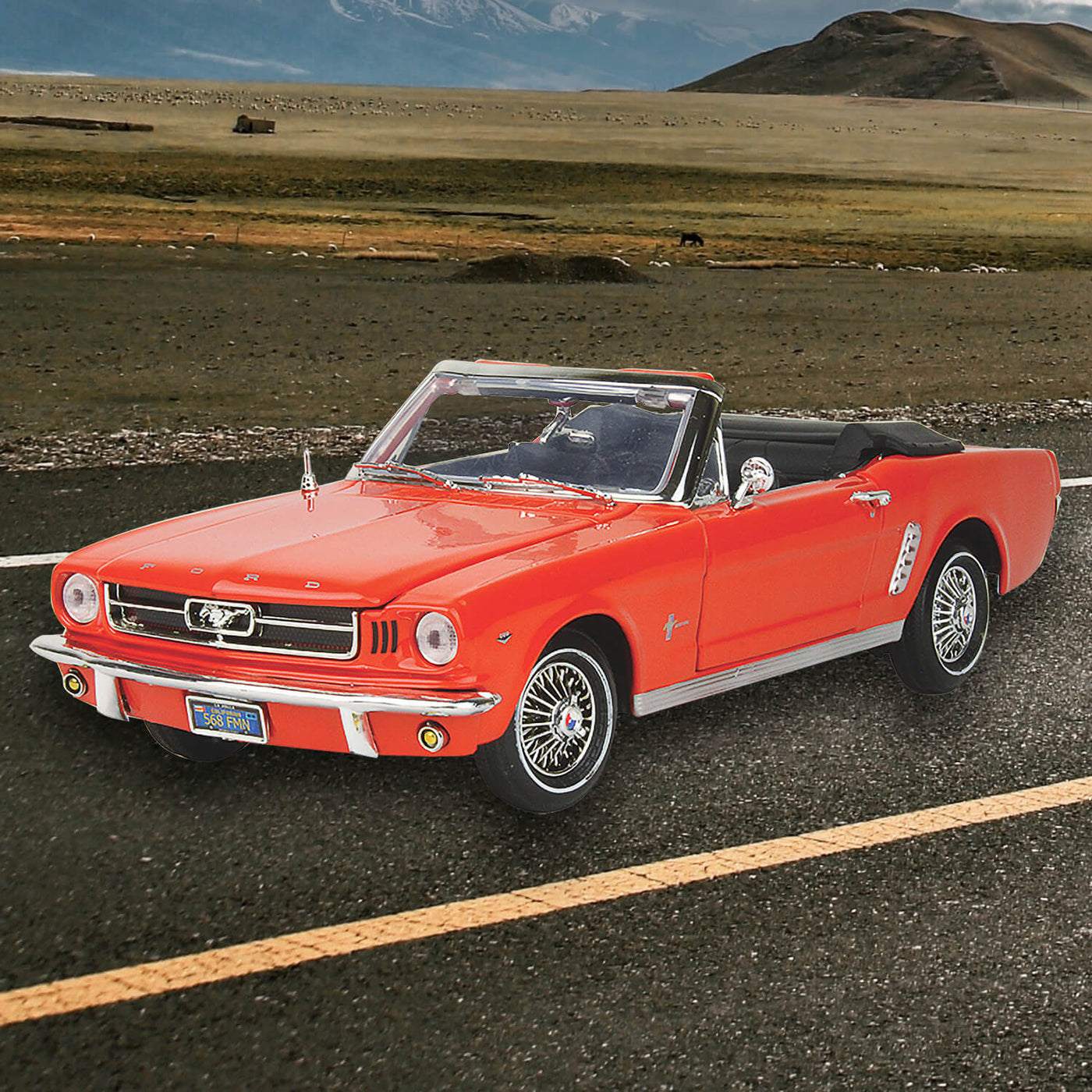 Daniel Steiger 1964 1/2 Ford Mustang 289 Convertible